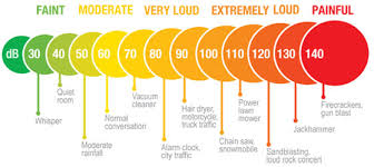 Osha Hearing Protection Chart